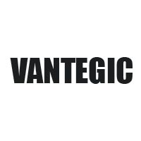 Vantegic Logo