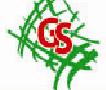 G S Trade International