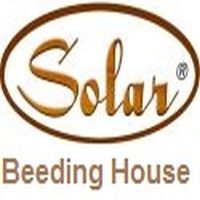 Solar Beeding House