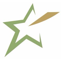Star Electricals Logo