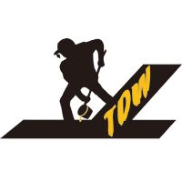 SHANDONG CQ NEW MATERIALS INC.