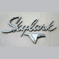 Skylark Enterprises
