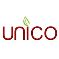 Unico Seeds