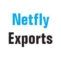 Netfly Exports Logo