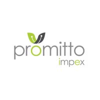 Promitto Impex Logo