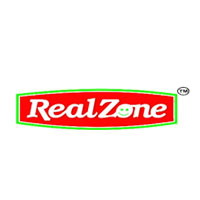 Realzone Logo