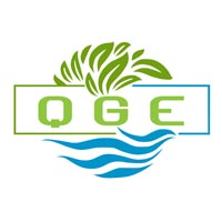 Queen Gate Exim Logo