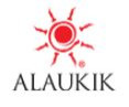 Alaukik Insence Stick.