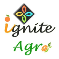 IGNITE CORPORATION Logo