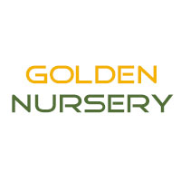 Golden Nursery