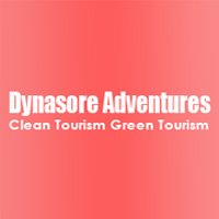 Dynasore Adventures