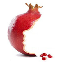 Red Agro International Export Logo