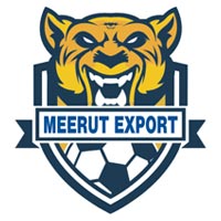 MEERUT EXPORT Logo