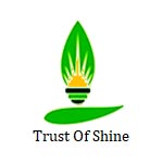 Eco Shine Logo