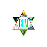 BEM Electricals Logo