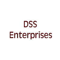 DSS Enterprises Logo