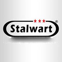 Stalwart Security Services India Ltd