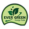 EverGreen Foreign Trade Logo