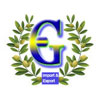 GEETANJALI ENTERPRISES Logo