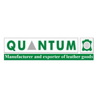 Quantum International Logo