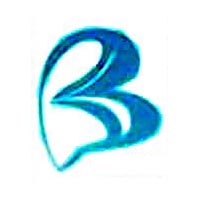 hubei bioche pharma co. ltd