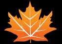 MAPLE EXPORTS PVT. LTD.