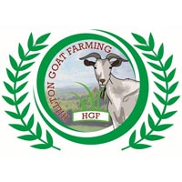 Hillton Goat Farming