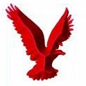 HI-BIRD GLOBAL INDUSTRIES Logo