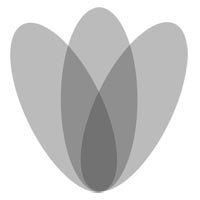 Paribrita Logo