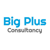 Bigplus Consultancy Service