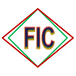Fine Instruments And Calibration Logo