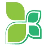 Dailyveg Export Logo