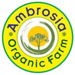 Ambrosia Organic Farm Logo