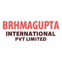 Brhmagupta International Pvt Limited Logo