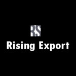 RISING INDIA EXPORT SERVICES Logo