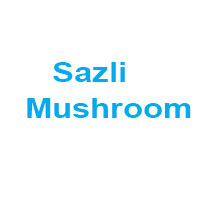 Sazli Mushrooms Logo