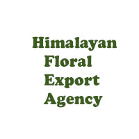 Himalayan Floral Export Agency Logo