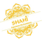 Shah International Trades Private..