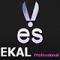 Ekal Surgical Works Logo