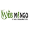 Web Mingo IT Solutions Pvt Ltd.