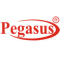 Pegasus Turnkey Solution (OPC) Pvt. Ltd
