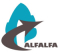 ALFALFA TRADERS (I) PRIVATE LIMITED