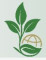 Avneet International