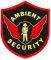 AMBIENT SECURITY SERVICES PRIVATE..