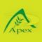 Apex International