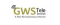 GWS Tele Services Dewas Logo