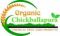 Organic Chickballapura