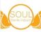 soul sterile industry