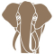 Alphadean tours and safaris