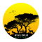Wild India Safari Logo